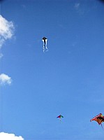 2008 KiteFestival-013.jpg